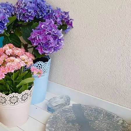 Garden Blue Daire