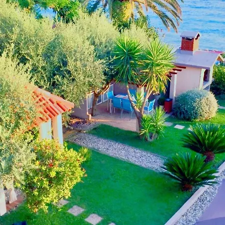 Garden Blue Daire